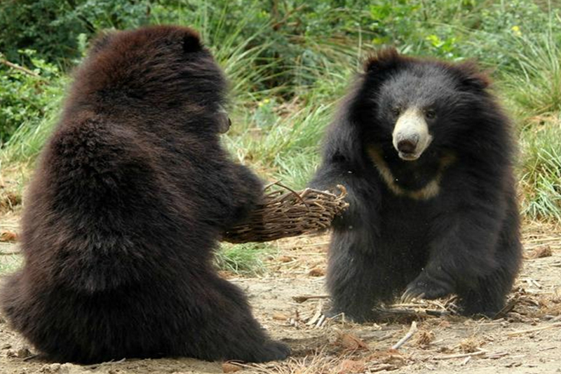 AGRA WILDLIFE TOUR